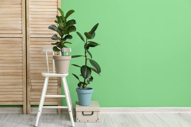 Folding screen, stool and houseplants near color wall in room - Photo, Image