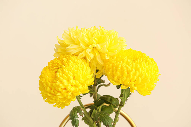 Bote de riego con flores de crisantemo amarillo contra pared clara - Foto, Imagen