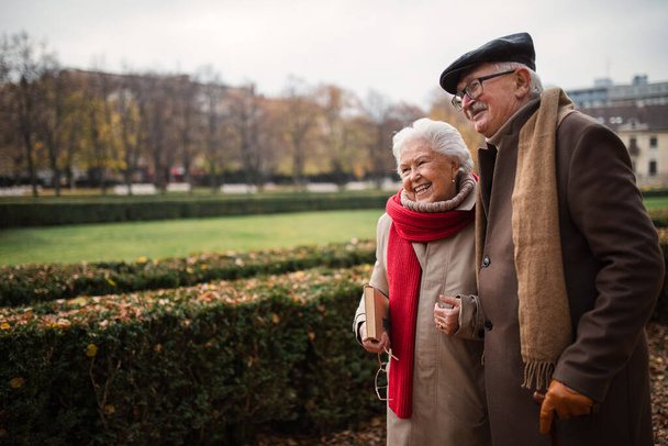 Happy senior friends on walk outdoors in town park in autumn, holding and laughing. - Foto, Imagen