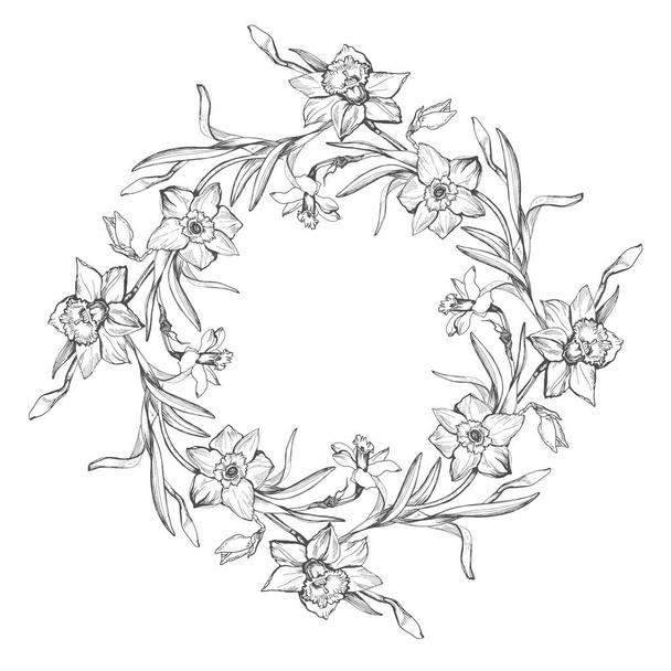 Floral outline wreath with hand drawn flowers daffodil. - Vector, Image