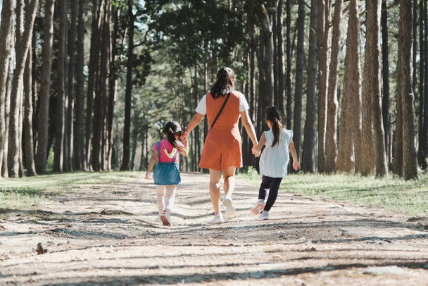 母と二人の娘が手を取り合い、春の日に松林を散歩. - 写真・画像