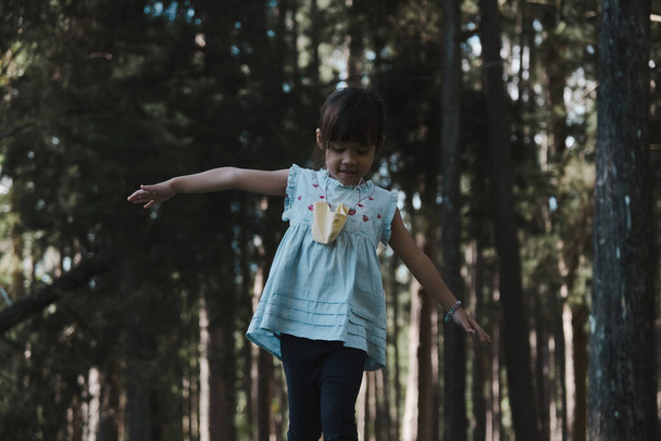 Menina bonito andando em um log no parque. criança no feixe de equilíbrio. Brincar é aprender na infância. - Foto, Imagem
