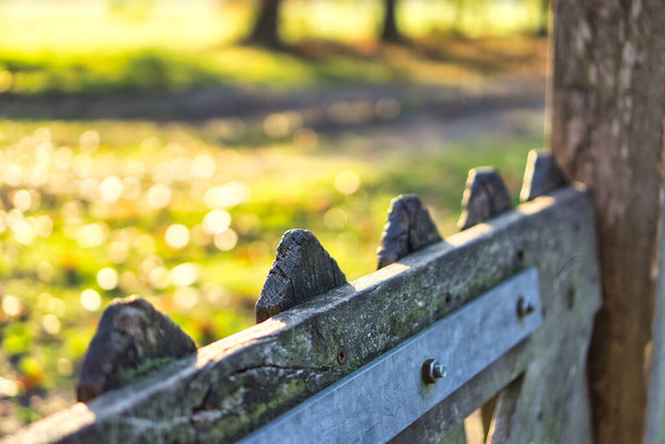 A selective focus of a wooden fence in a lovely park with bright sunlight on the ground behind it - Photo, Image