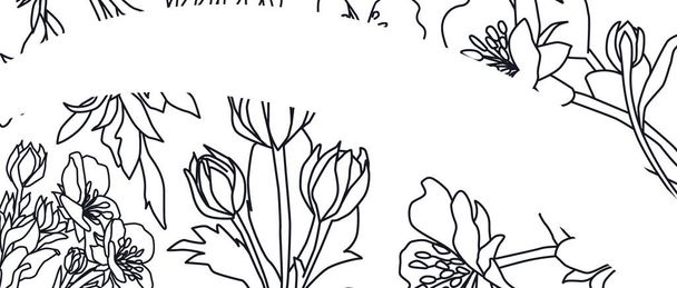 Buttercups cream box design. Herbal engraved style illustration. - Vektor, Bild