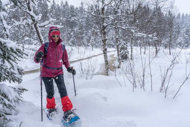  Schöne Seniorin beim Schneeschuhwandern bei starkem Schneefall in einer winterlichen Wald- und Moorlandschaft im Bergenzer Wald in Vorarlberg, Österreich - Foto, Bild