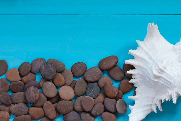 Concepto de verano: conchas marinas y guijarros sobre fondo de madera. Vista superior con espacio de copia - Foto, Imagen