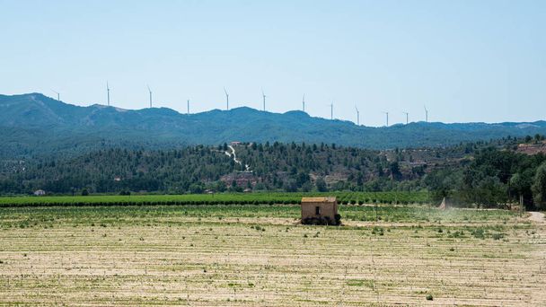Rüzgar türbinleri mavi arka planda elektrik üretiyor. Yeşil yenilenebilir alternatif enerji kavramı - rüzgar jeneratörü elektrik üreten türbinler. İspanya 'da yaz dağı manzarası - Fotoğraf, Görsel