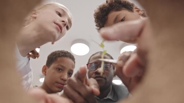 Low angle view van binnenuit van bloem pot van diverse middelbare school studenten kijken en jonge zwarte mannelijke leraar planten zaailing houden met pincet - Video