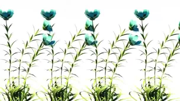 Άγρια λουλούδια βοτανική Floral 3D Αποτύπωση - Πλάνα, βίντεο