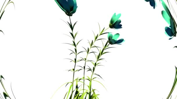 Flores Selvagens Botânica Floral 3D Renderização - Filmagem, Vídeo