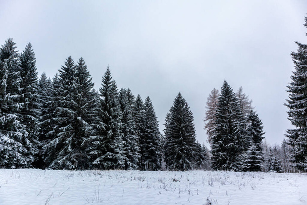 Winter discovery tour through the Thuringian Forest near Steinbach-Hallenberg - Thuringia - Valokuva, kuva