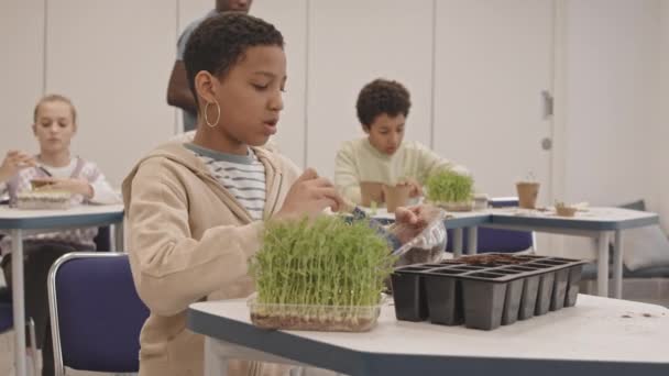 Medio de chica negra curiosa sentada en el escritorio en clase de botánica, llenando macetas con tierra para trasplante de plántulas - Imágenes, Vídeo