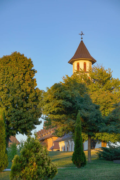 A beautiful view of a church and large trees on a sunny day - Fotografie, Obrázek