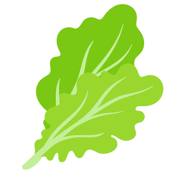 Desenhos animados vetoriais vegetais salada verde fresca. Eco compras de alimentos. - Vetor, Imagem