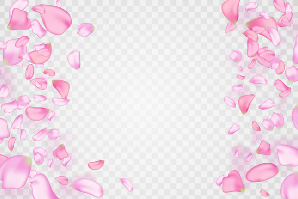 Natur horizontal Hintergrund. Rosa fallenden Sakura Blütenblätter und Blumen. - Vektor, Bild
