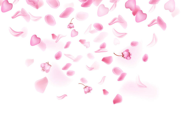 Природа горизонтальный фон. Розовый падения сакуры лепестки и цветы. - Вектор,изображение