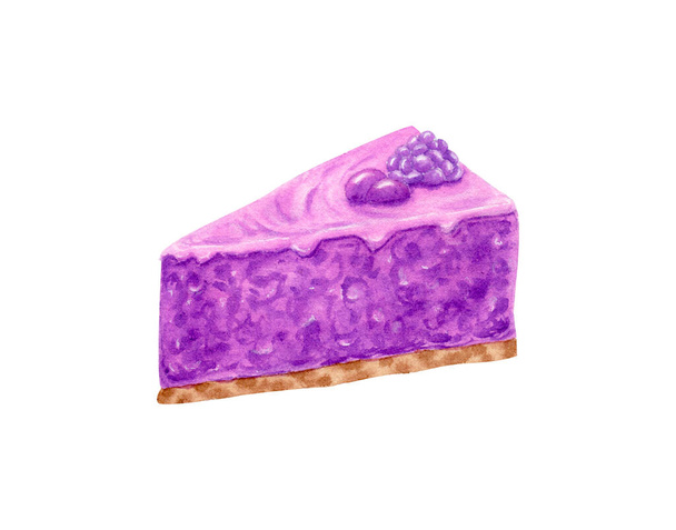 Watercolor piece of jelly cake with blueberries. Cake on biscuits. No baked cake. Berry jelly. Design for menus, labels. Sweet delicious food. Blueberry piece of pie - 写真・画像