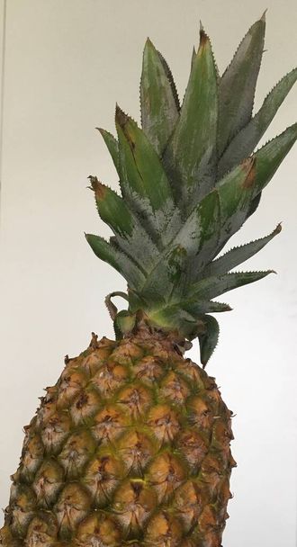 Summer fruits. Closeup photo of a pineapple - Fotografie, Obrázek