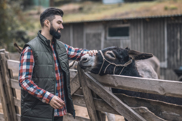 Bearded farmer standing near the donkey in a cattle-pen - Fotoğraf, Görsel
