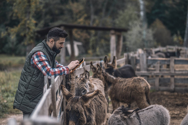Farmer making photos of his animals on a fram - Fotografie, Obrázek
