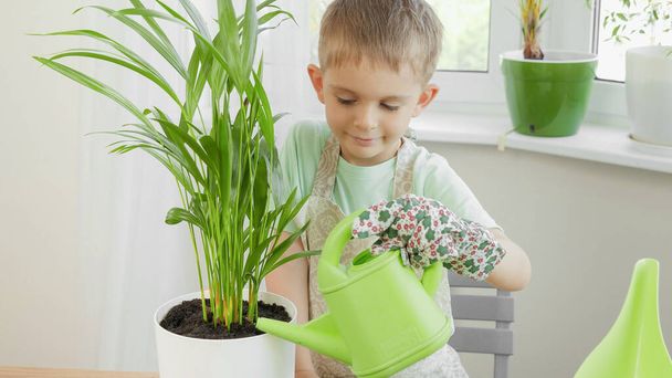 Evdeki çiçekleri küçük plastik sulama kutusuyla sulayan küçük bir çocuk. Bahçe işleri, hobi, ev ekimi kavramı.. - Fotoğraf, Görsel