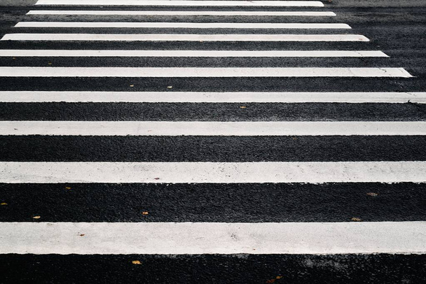 white striped markings of a pedestrian crossing on black asphalt - Photo, Image