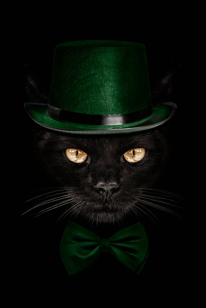 chat muselière sombre en chapeau vert et papillon cravate
 - Photo, image