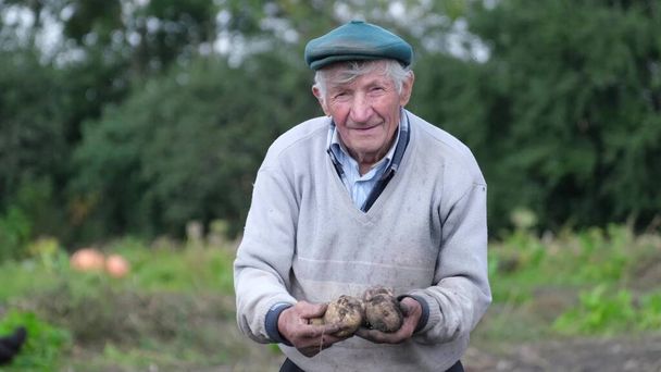Boldog nyugdíjas gazda mutatja meg a bio burgonyáját. - Fotó, kép