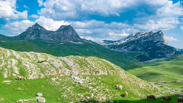 Sedlo Geçidi Karadağ 'daki en yüksek yol geçidi. Karadağ 'ın pitoresk turistik yolunun geçtiği Durmitor Ulusal Parkı. UNESCO Dünya Mirası sitesi. Güzel yaz bulutlu manzarası. - Fotoğraf, Görsel