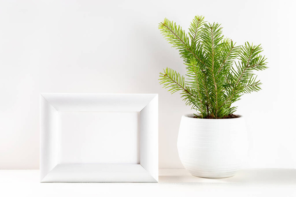 Christmas minimal image with small Xmas tree in flowerpot and white frame on white. Copy space. - Foto, Imagem