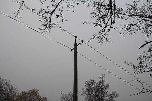 Δέντρα και ηλεκτρικοί στύλοι σε φόντο γκρίζου φθινοπωρινού ουρανού - Φωτογραφία, εικόνα