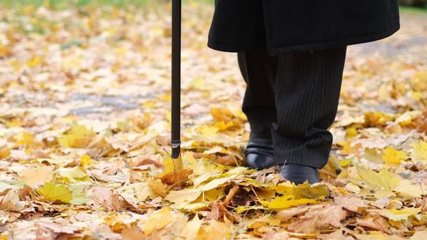 An elderly man with visual impairments tries to walk through the citys autumn park. - Photo, Image