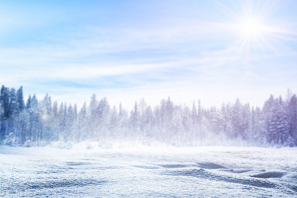 заснеженное поле на фоне леса, зимний фон с копировальным пространством - Фото, изображение