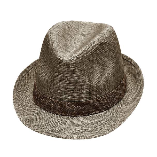 Мужская шляпа войлок изолированы на белом фоне
 - Фото, изображение