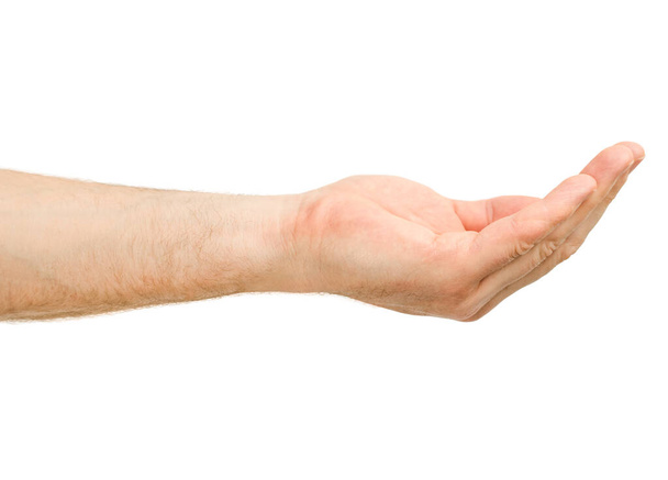 main masculine tenant quelque chose dans la paume sur fond blanc isolé - Photo, image