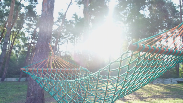 Una hamaca solitaria en el bosque. Un lugar para relajarse y relajarse. - Foto, imagen