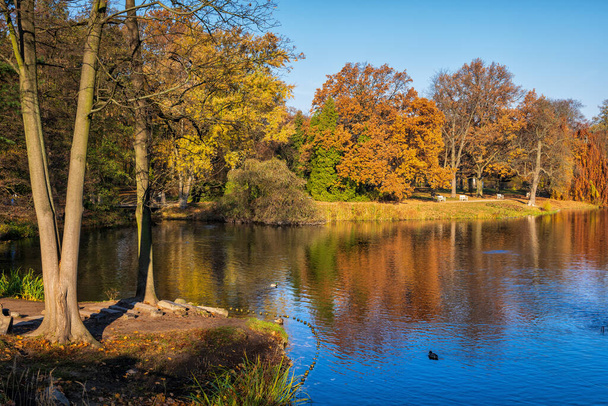 Autumn landscape with lake in Royal Lazienki Park in Warsaw, Poland. - Valokuva, kuva