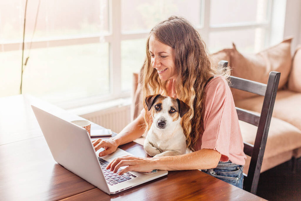 Female Hands Working On Laptop With Cute Dog. Freelancer working at home next to a puppy - Photo, image