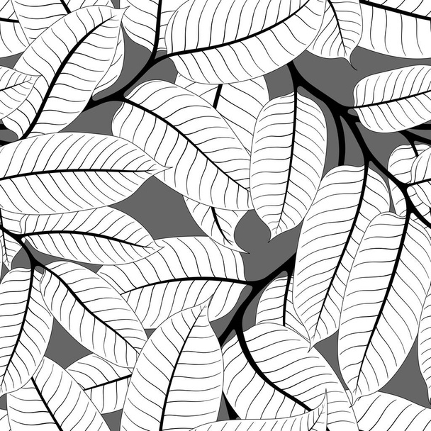 SEAMLESS PATTERN WITH WHITE VIROLA BRANCHES ON A GRAY BACKGROUND IN VECTOR - ベクター画像
