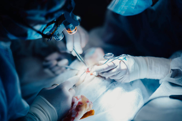 teamwork of surgeons in the operating room, hands in a glove close-up with surgical instruments. - Zdjęcie, obraz