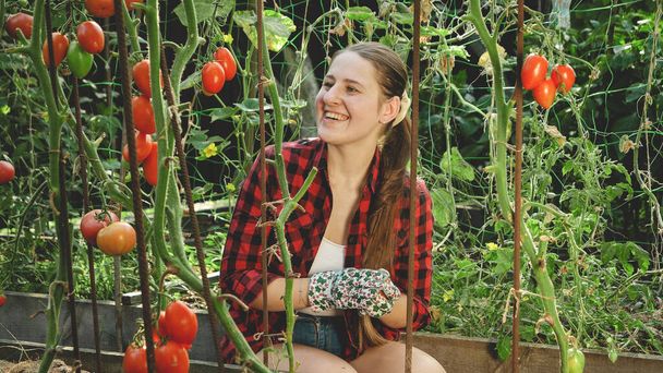 Foto tonificada de una joven sonriente disfrutando y sonriendo en el jardín de tomate - Foto, imagen