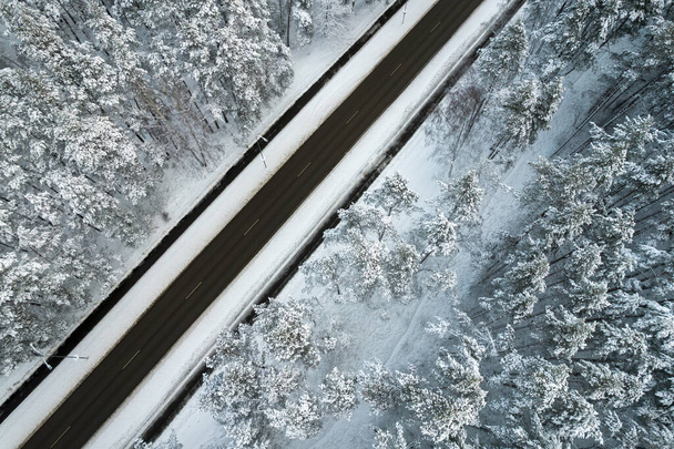 Strada nera e alberi con neve fredda in montagna - Foto, immagini