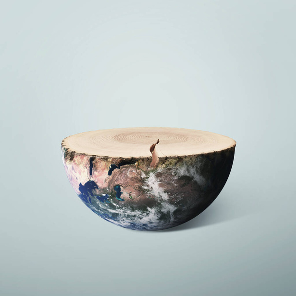 Tree and planet earth, concept. Cut tree with rings and half of the planet on a gray background, creative idea. Ecology and environment protection. Deforestation and Wood industry - Foto, afbeelding