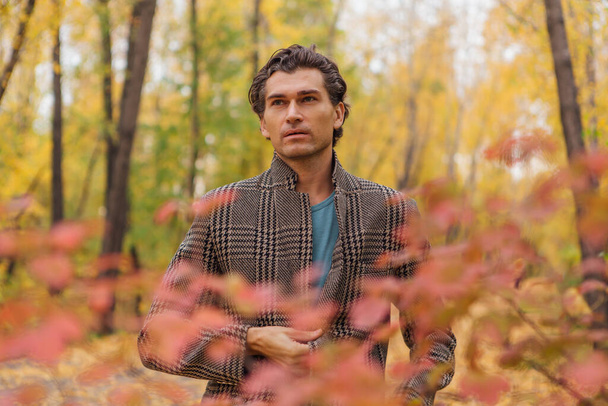 Tall handsome man dressed in a brown jacket walking in the autumn alley and posing near the bush with red leaves. - Photo, image