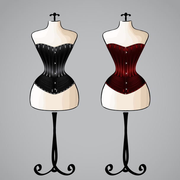 Corset on female mannequin - Vector, Image