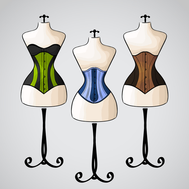 Corset on female mannequin - Vector, Image