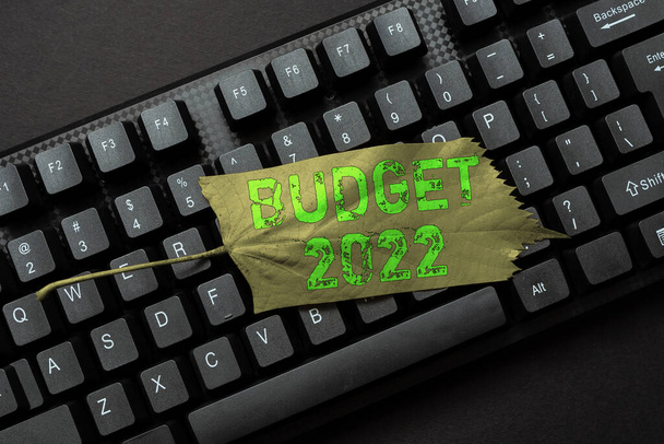 Conceptual caption Budget 2022. Business idea estimate of income and expenditure for next or current year Programmer Creating New Software, Coder Typing Programming Language - Photo, Image