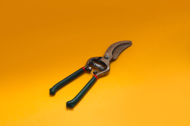 Tesoura de poda (tesouras de podar, tesouras de jardim) com aderência verde isolada sobre fundo laranja - Foto, Imagem