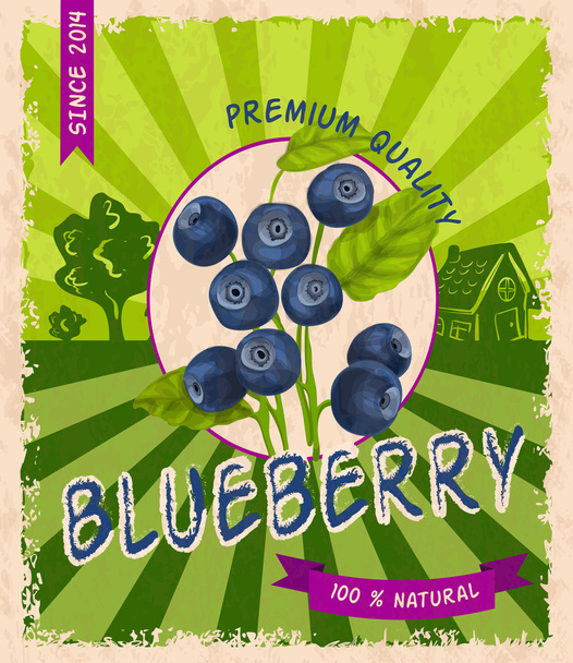 Blueberry retro plakát - Vektor, kép