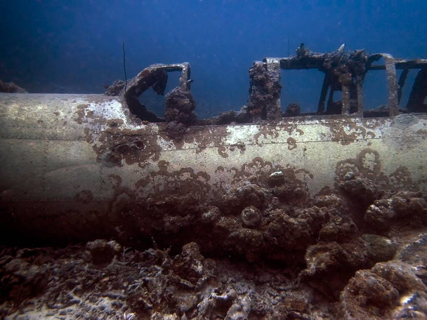Remains of a World War II Japanese Air Force Nakajima B6N "Jill" bomber in Chuuk State (also known as Truk Lagoon). - Photo, Image